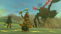 Riju of Gerudo Town - Zelda Wiki