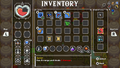 CoH Inventory Screen.png