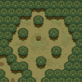 Haunted Grove (Village of Outcasts Area and Around Swamp Palace)