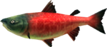 MM3D Postal Salmon Model.png