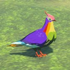 Rainbow Pigeon No. 039