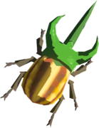 Rugged Rhino Beetle
