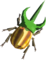 Rugged Rhino Beetle
