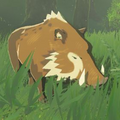 The Woodland Boar as it appears in the Hyrule Compendium from Breath of the Wild