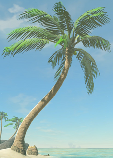 BotW Palm Tree Model.png
