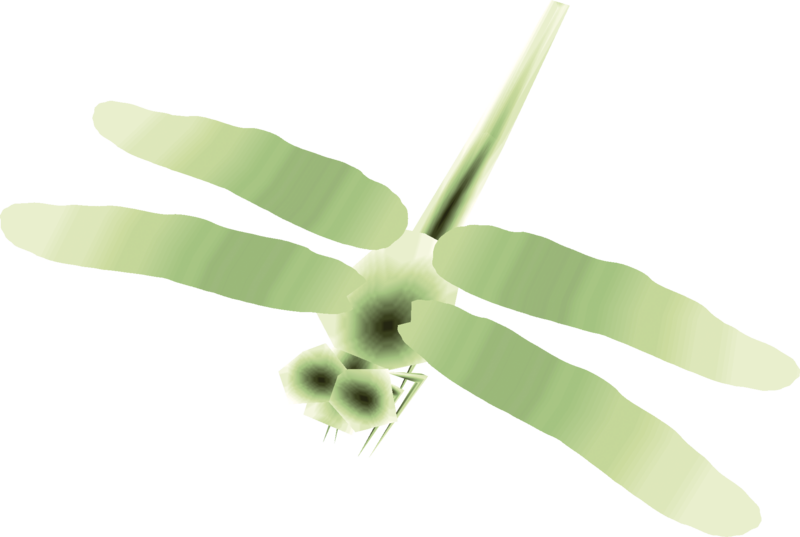 File:TP Male Dragonfly Render.png
