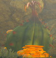 A Great Fairy Fountain closed up flower bud from Breath of the Wild