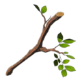 Icon for the Tree Branch from Hyrule Warriors: Age of Calamity