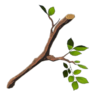 HWAoC Tree Branch Icon.png