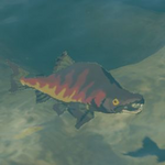 BotW Hyrule Compendium Hearty Salmon.png