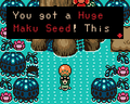 Link receiving the Huge Maku Seed from Oracle of Ages