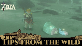 BotW Tips from the Wild Banner 08.png