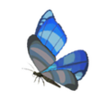 A Winterwing Butterfly from Breath of the Wild