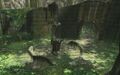 A portion of the Sacred Grove from Twilight Princess