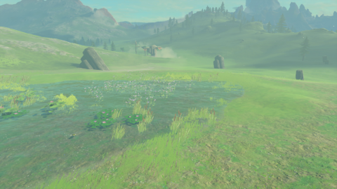 Irch Plain - Zelda Wiki