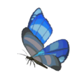 Winterwing Butterfly icon from Hyrule Warriors: Age of Calamity