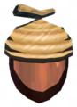 Acorn