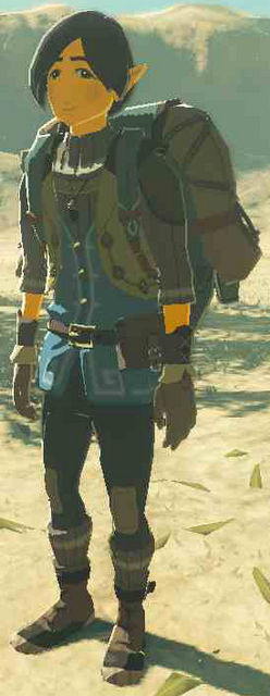 Robsten - Zelda Wiki