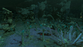 Grove of Time