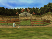 Romani Ranch - Zelda Wiki