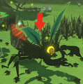 Wingless Mothula from The Wind Waker HD