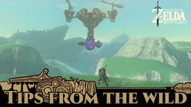 BotW Tips from the Wild Banner 21.png