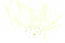 Sage of Lightning - Zelda Wiki
