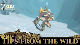 BotW Tips from the Wild Banner 06.png