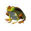 TotK Tireless Frog Icon.png