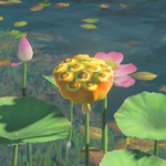BotW Hyrule Compendium Fleet-Lotus Seeds.png