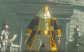 King Rhoam standing with Guards in Breath of the Wild'
