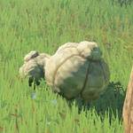 BotW Hyrule Compendium Big Hearty Truffle.png