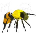 Courser Bee