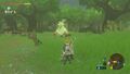 Hestu at Wetland Stable from Breath of the Wild