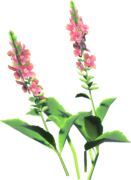 Warm Safflina