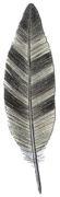 Roc's Feather - Zelda Wiki