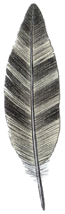 Roc's Feather - Zelda Wiki