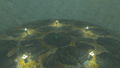 Sage's Will Treasure Chest