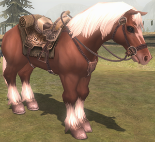 Epona model from Twilight Princess HD