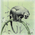 Monkey artwork from Link's Awakening