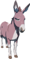 Donkey