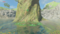 The Korok found at the Ancient Tree Stump from Breath of the Wild