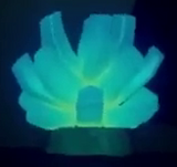 A screenshot of bio-luminescent Coral.