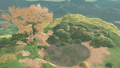 The pond atop Satori Mountain during the day from Breath of the Wild