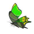 Thunderwing Butterfly icon from Hyrule Warriors: Age of Calamity