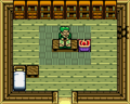 The interior of the Biologist's Home from Oracle of Seasons
