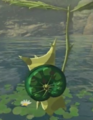 A Korok resembling Elma from Breath of the Wild