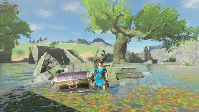 Where Is The Twilight Relic In Botw EX Treasure: Twilight Relic - Zelda Wiki