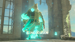A screenshot of King Rhoam as a Spirit within the Temple of Time. Text on-screen displays his name, along with the title "The Last King of Hyrule".