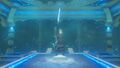 Link raising the Master Sword skyward after completing the Trial of the Sword and unlocking the Sword's true splendor